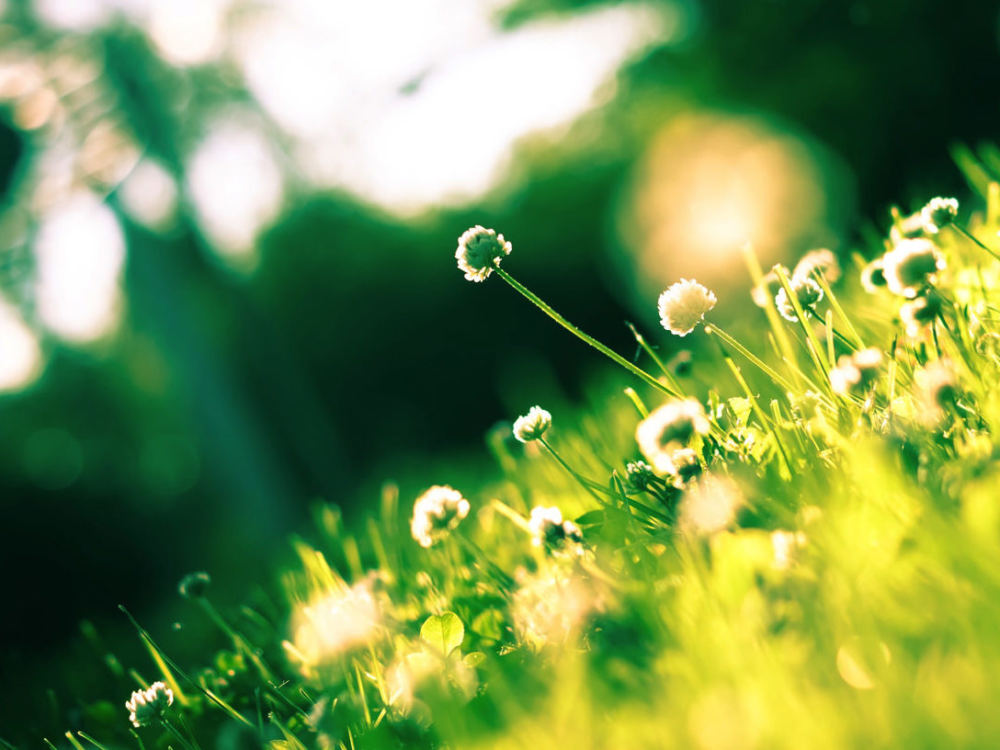 本日のブログは『接客(おもてなし)インバウンドコーチ！』です。