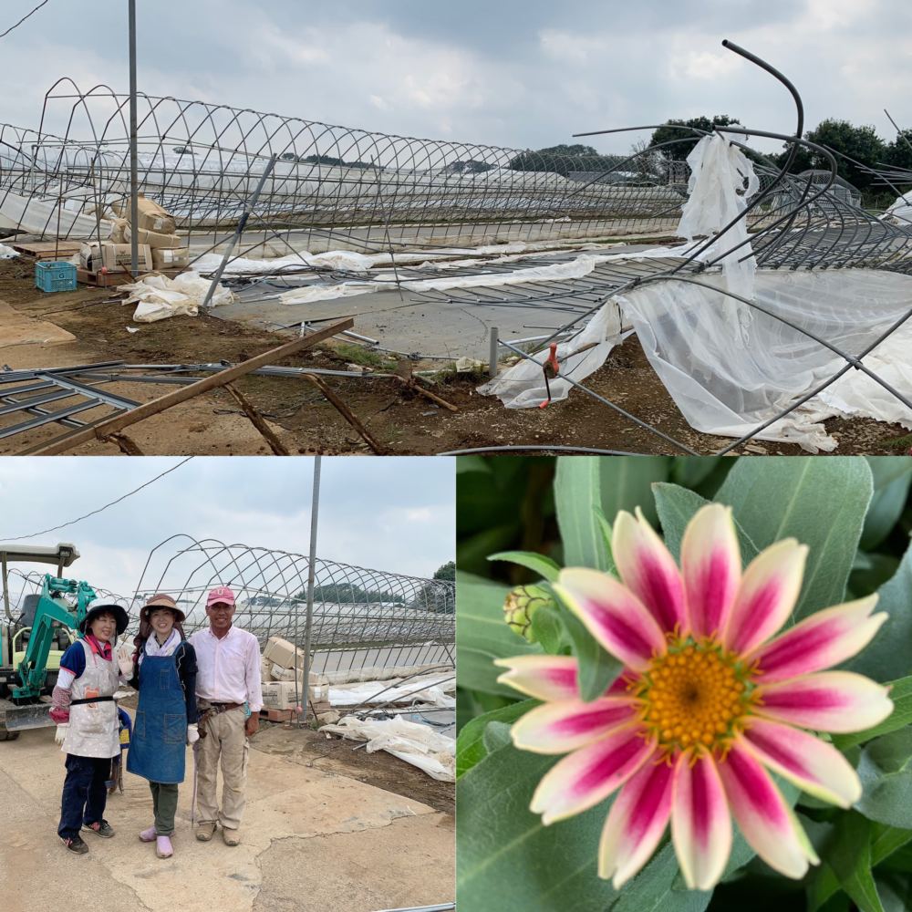 本日のブログは《 台風15号の被害は甚大でした！》です。
