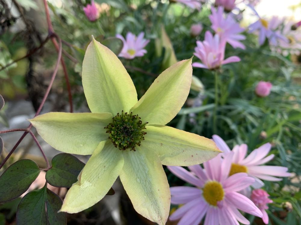 本日のブログは【生きてるってそれだけで幸せ！】です。