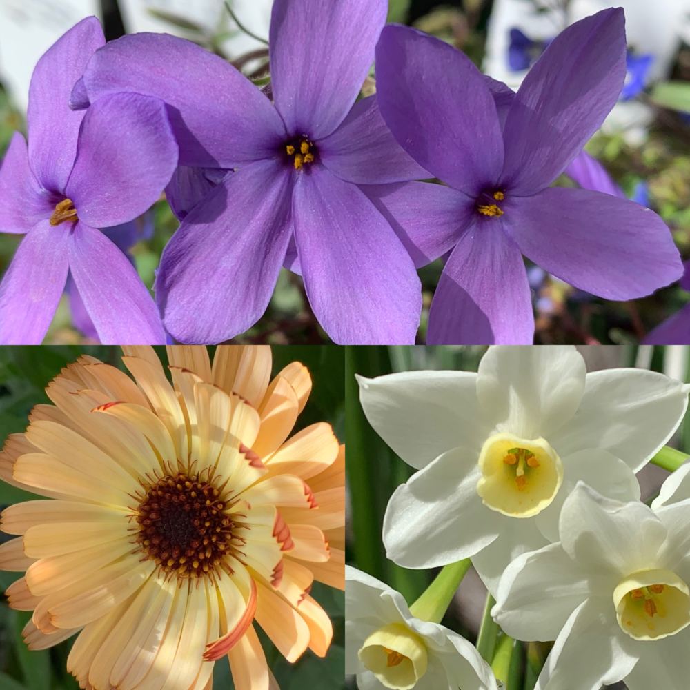 本日のブログは【久々のエフメールナガモリさん！】です。