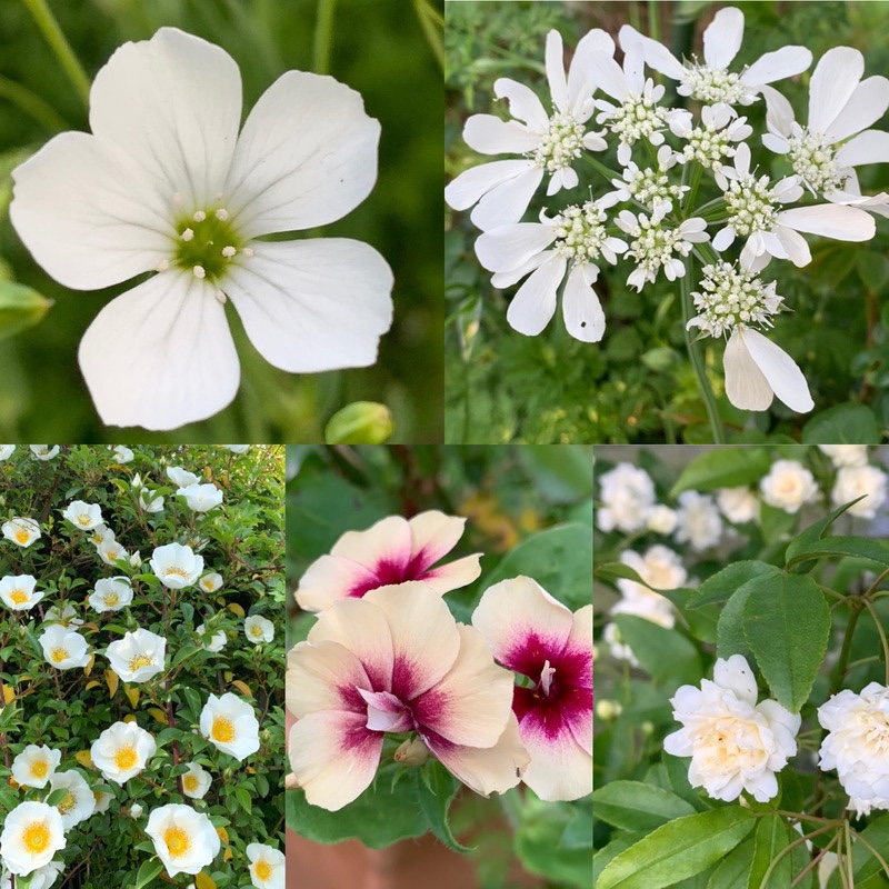 本日のブログは 【 出来る時に出来ることを！】です