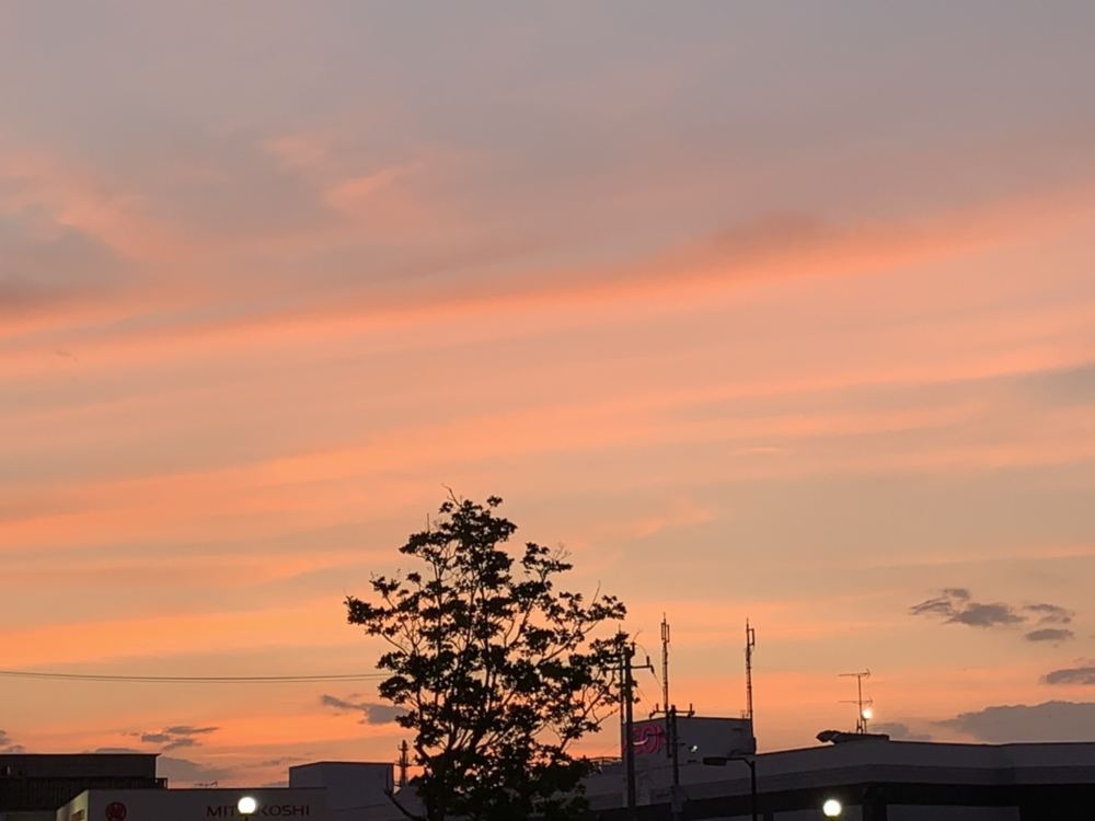 本日のブログは【今日は最高に佳き日！一粒万倍日』と『天赦日』重なる】です！