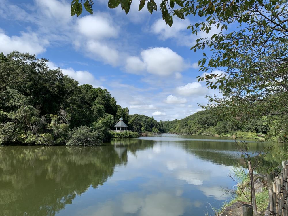 本日の話題は【いよいよ秋ですね????????????????????】です！
