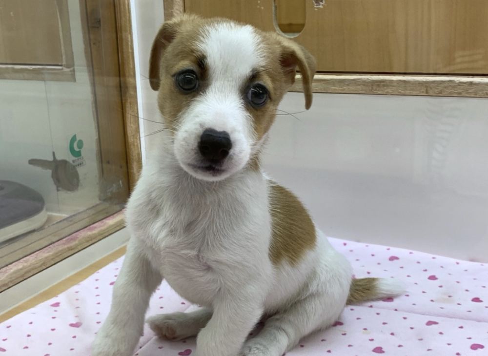 本日のブログは【新入社員研修も落ち着いて…これからは庭の季節！】