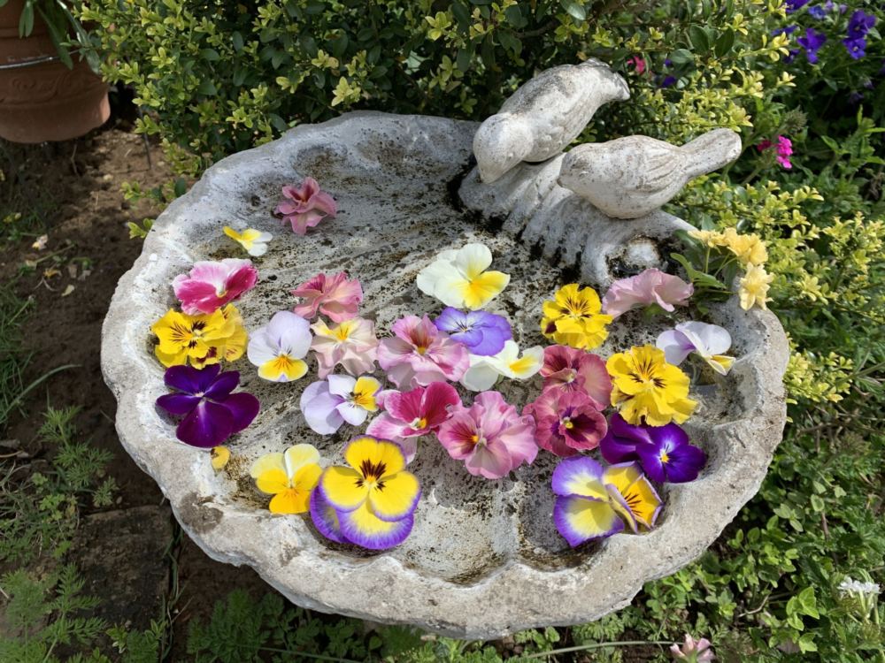 本日のブログは【ガーデンミステリーツアーも3年目！】です。