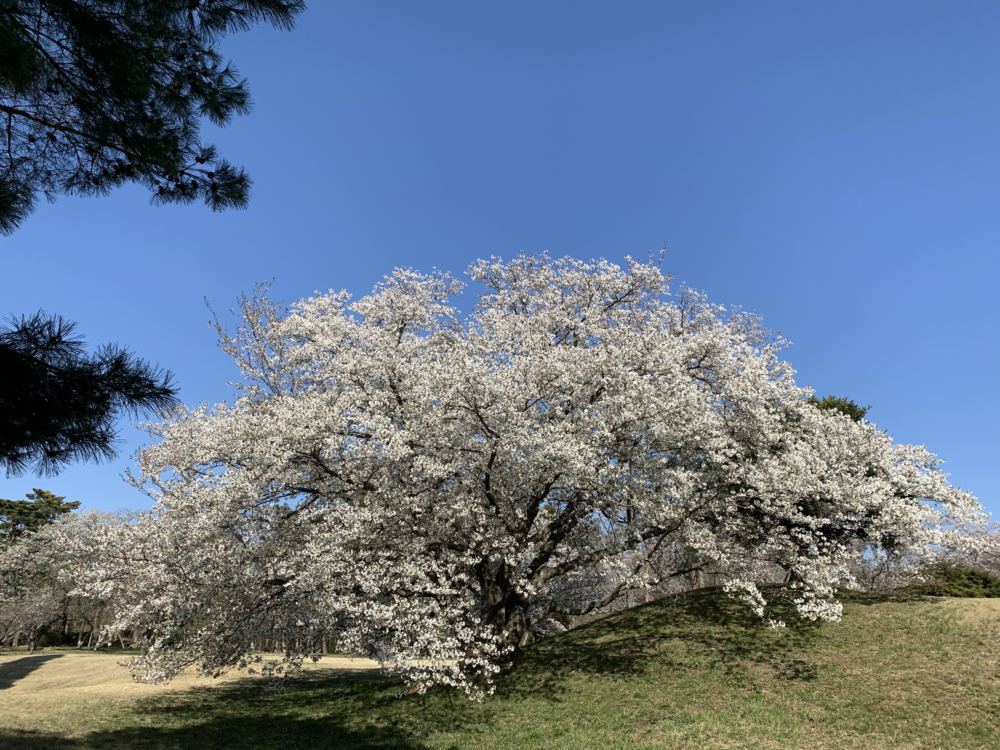 本日のブログは【こんな時ほど明るく笑おう！】です。