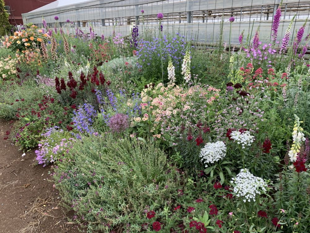 本日のブログは【人との繋がりを大切に！】です。