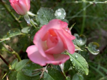 本日のブログは【日々の生活と心境の変化！】です