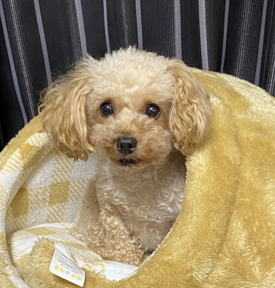 本日のブログは【我が家に家族が増えました！】です