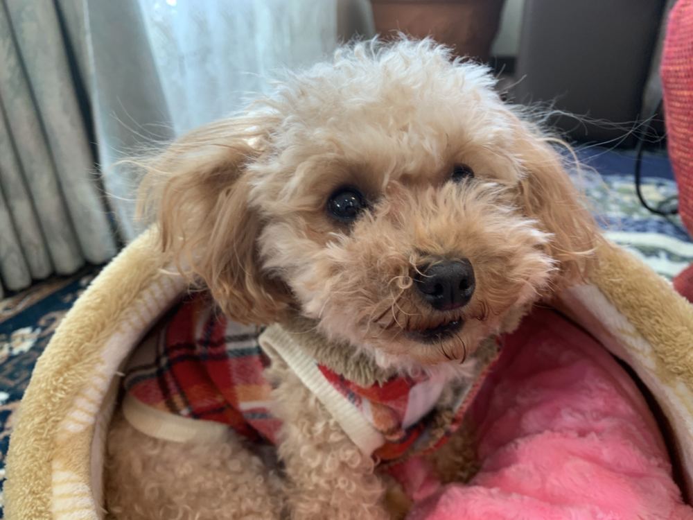 本日のブログは【また会いたい思いやりに溢れた人】です！