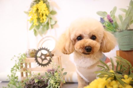 皆さまお久しぶりです！ブログの書き方忘れてました????