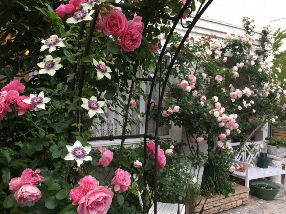 本日のブログは【 梅雨の晴れ間にペンキ塗り！】です。