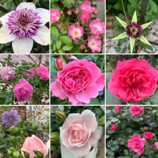 本日のブログは【一粒万倍日に半年ぶりのブログです】